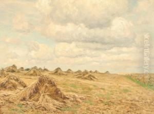 Weites Kornfeld Unter Bewolktem Sommerhimmel