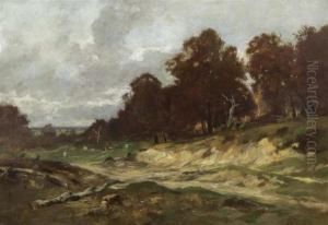 Herbstlandschaft Mit Waldsaum Und Wolkenverhangenem Himmel. Herbstlandschaft Mit Waldsaum Und Wolkenverhangenem Himmel.