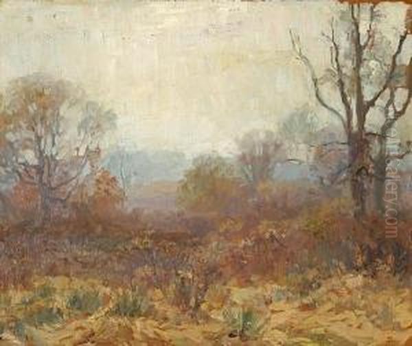 Mystic Morning - view 1