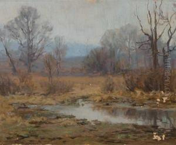 Tranquil Reflections - view 1