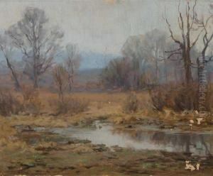 Tranquil Reflections