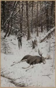 The Bull-moose