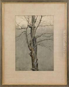 White Path by Arthur Burdett (Sr.) Frost