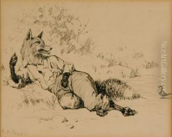 Brer Fox - view 1