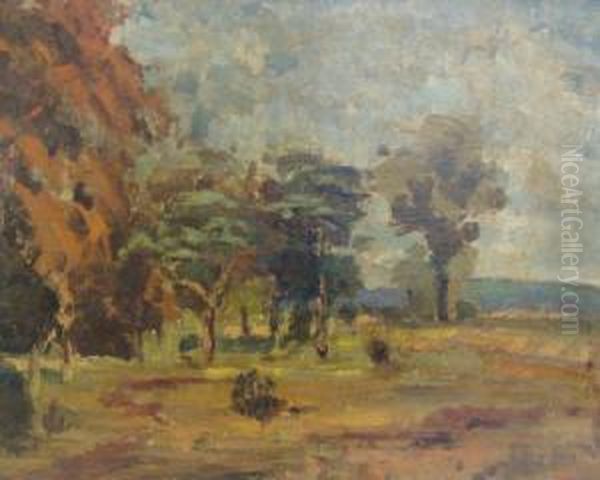 Landscape - view 1