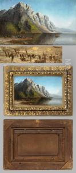 Weite Norwegische Fjordlandschaft - view 1