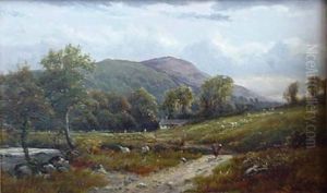 Near Aber, North Wales Near Aber, North Wales