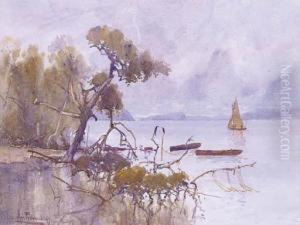 Pittwater Looking Towards Lion Island, New South Wales - view 1