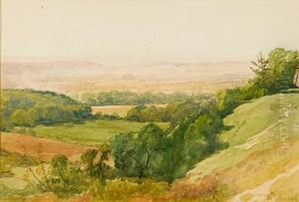 Vale Of Godalming From Guildford - view 1