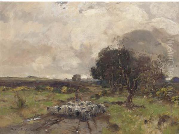 A Shepherd With His Flock - view 1