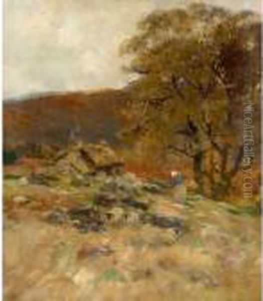 Autumn, West Highlands - view 1