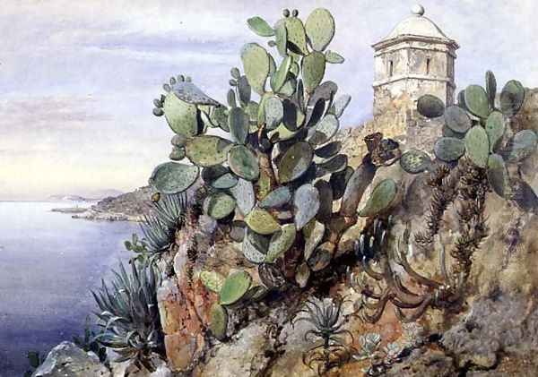 Cactus Opuntia, Monaco, 1845 - view 1