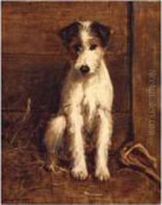 Portrait Of A Dog