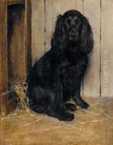 Portrait Of A Cocker Spaniel - view 1