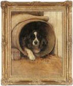 A Favourite Barrel