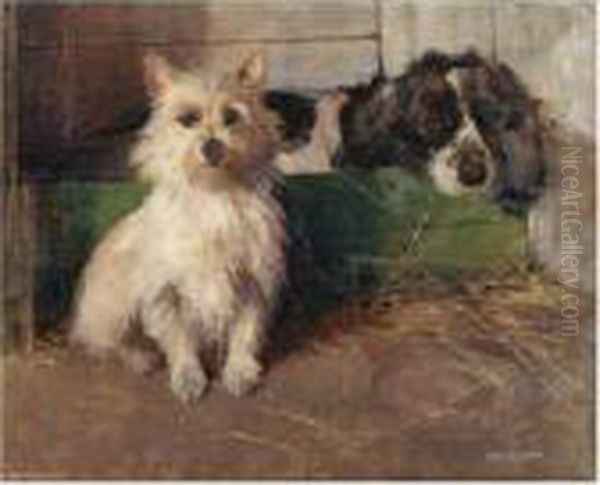 Cairn Terrier And Spaniel - view 1