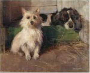 Cairn Terrier And Spaniel by Samuel Fulton