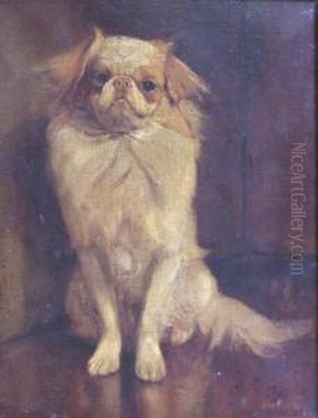 Study Of A Cavalier King Charlesspaniel - view 1