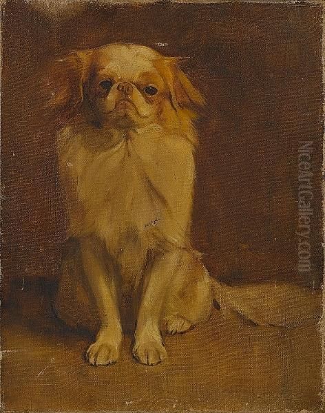 Portrait Of A Japanese Chin - view 1
