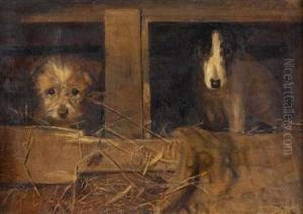 Two Terriers - view 1