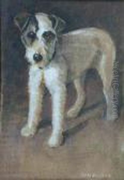 Study Of A Terrier - view 1