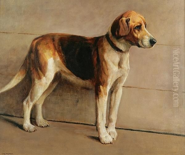 Portrait Of A Beagle - view 1