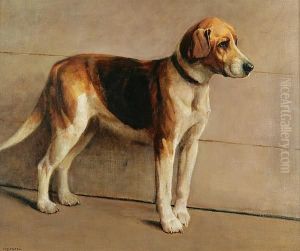 Portrait Of A Beagle by Samuel Fulton