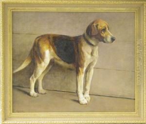 Standing Beagle