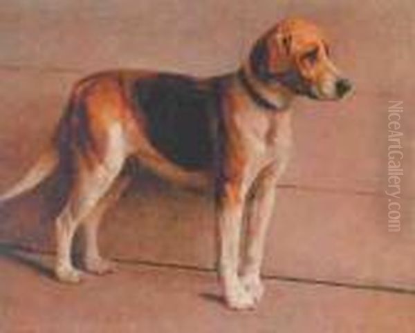 Foxhound - view 1