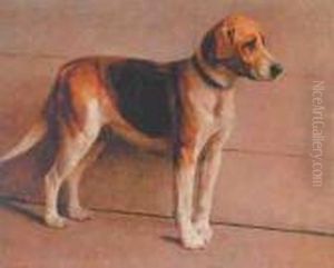 Foxhound