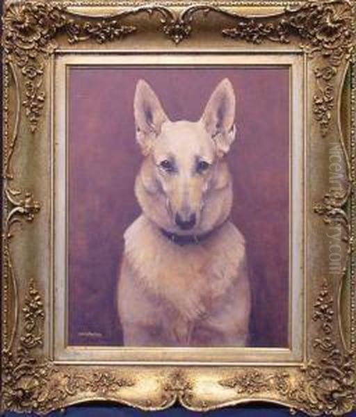 Portrait Of A German Shepherd - view 1