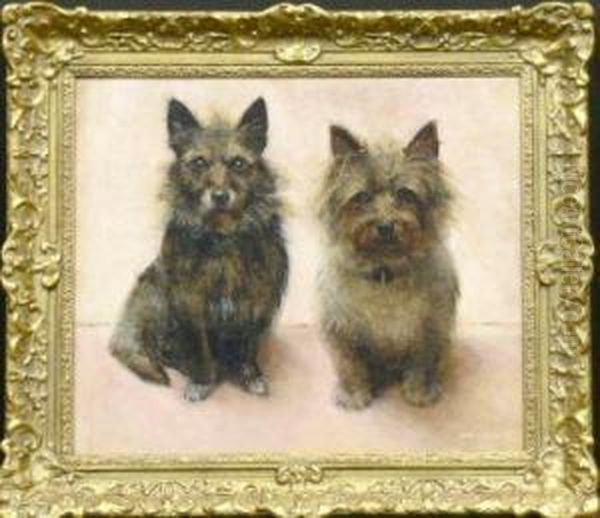 Two Cairn Terriers - view 1