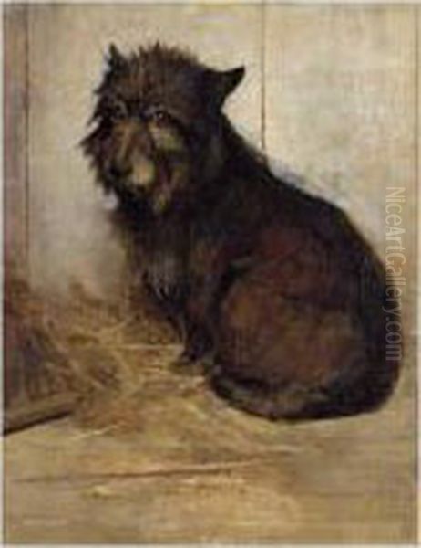 Wistfull, A West Highland Terrier - view 1