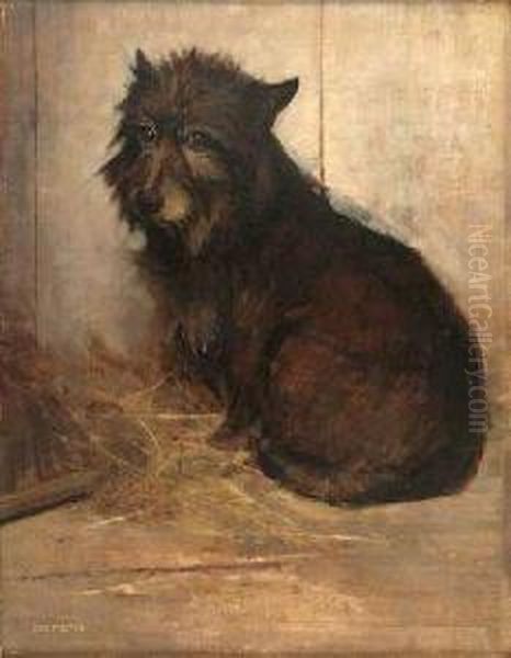 Study Of A Scots Terrier - view 1