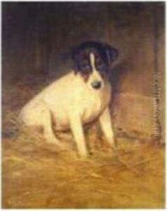 Jack Russel Puppy In A Barn