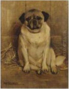 A Pug by Samuel Fulton