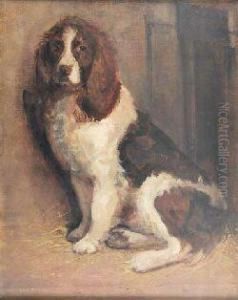Study Of A Liver And White Spaniel by Samuel Fulton