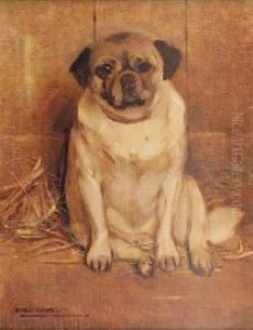 Study Of A Pug by Samuel Fulton