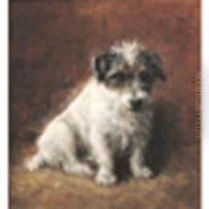 Wire Haired Jack Russell Oil On Canvas 16 X 15in