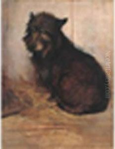 A Glencairnterrier