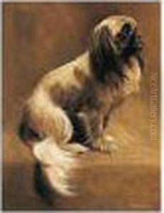 Pekinese by Samuel Fulton