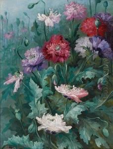 Poppies