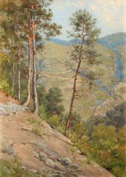 Baumbestandene, Hugelige Landschaft - view 1