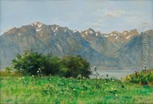 Vue Du Lac Leman Et Desalpes