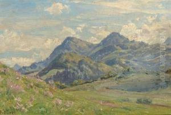Paysage - view 1
