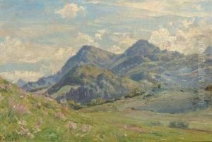 Paysage Paysage