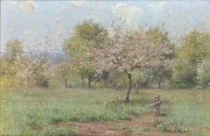 Kleines Madchen Unter Bluhenden Obstbaumen.