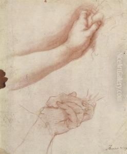 Study Of A Woman's Hands