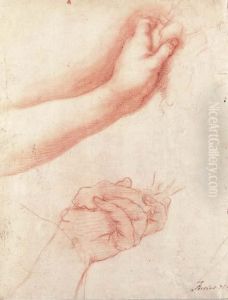 Two Studies Of A Left Hand Holding A Cloth