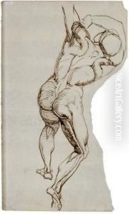 Etude D'homme Nu De Dos